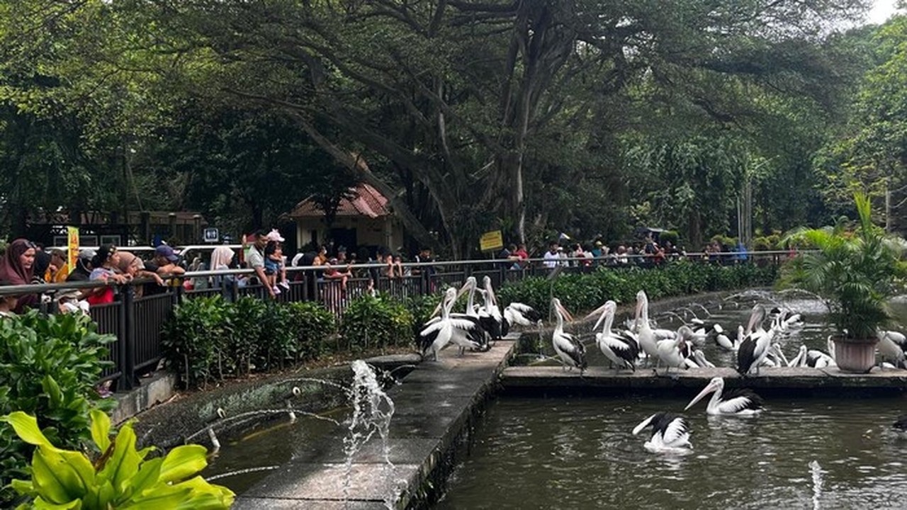 Taman Margasatwa Ragunan (foto: Rumondang/detikcom)
