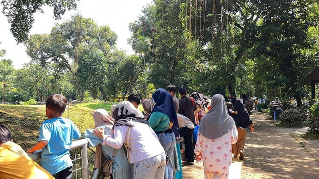 Foto: Taman Margasatwa Ragunan Jaksel Dipadati Pengunjung Saat Libur Natal 2025. (anggi M/detikcom)