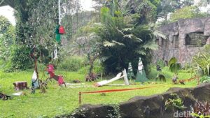 Ragunan Suguhkan Feeding Gorila Bertema Natal dan Tahun Baru untuk Pengunjung