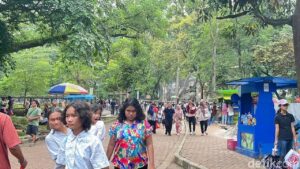 Libur Natal 2025: 50.211 Pengunjung Padati Taman Margasatwa Ragunan