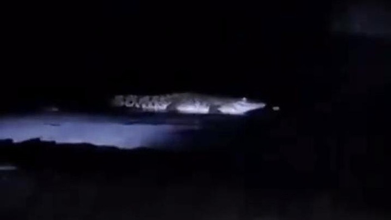 Buaya Di Pantai Watu Leter Kab Malang (dok. Istimewa/tangkapan Layar)