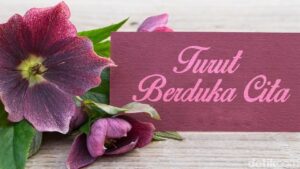Duka Cita Mendalam: Romo FX Mudji Sutrisno SJ Wafat di Usia 71 Tahun