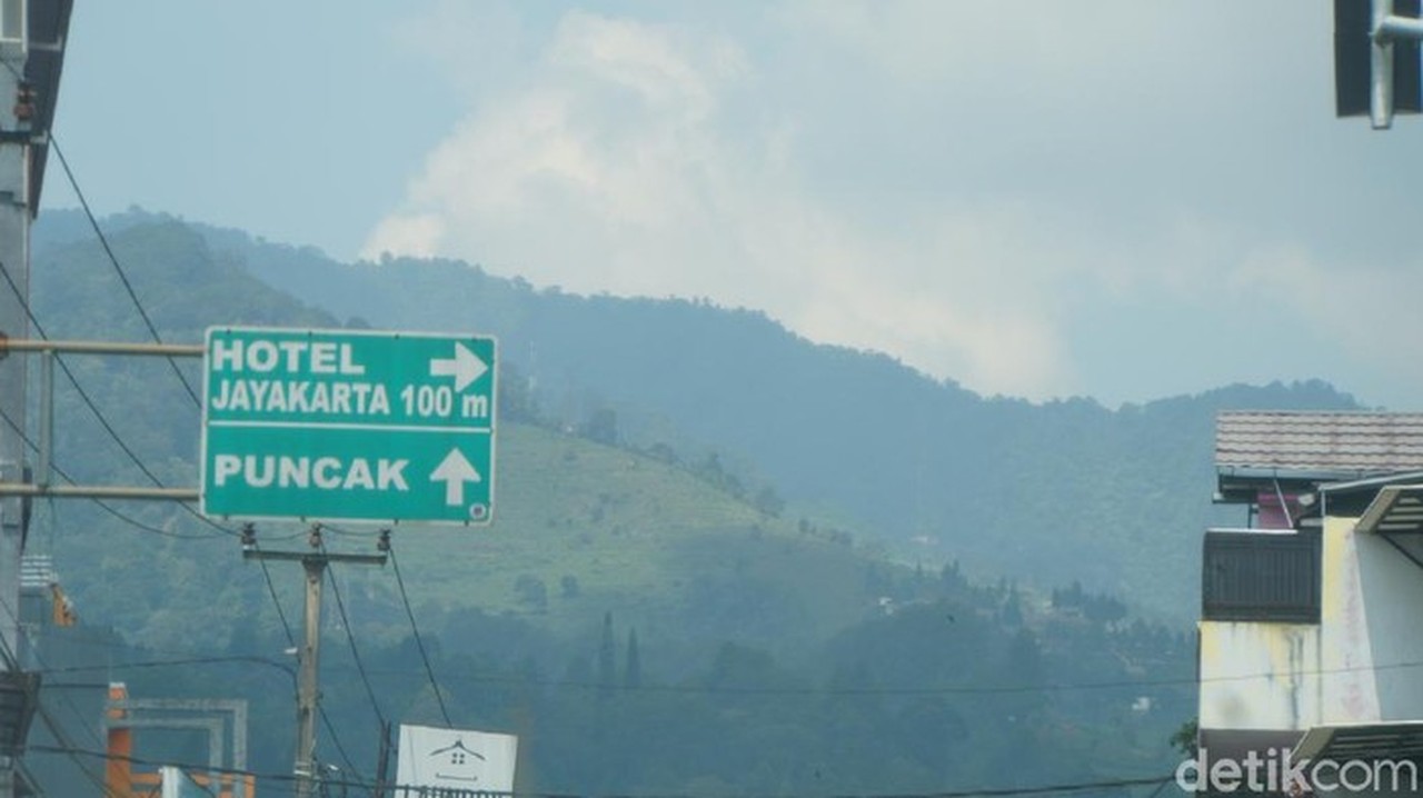 Ilustrasi Puncak (foto: Ahmad Masaul Khoiri/detikcom)