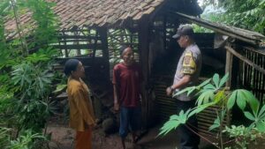 Lima Kambing Warga Parung Bogor Hilang, Polisi Temukan Jeroan di Kandang Kosong