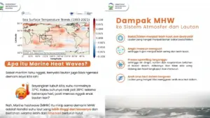 BMKG Ungkap Bahaya Marine Heatwave: Fenomena Suhu Laut Ekstrem yang Picu Badai dan Cuaca Buruk