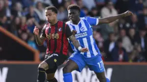 Jadwal Liga Inggris 20 Januari 2026: Brighton vs Bournemouth, Duel Penting Perebutan Posisi Klasemen