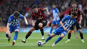 Prediksi Brighton vs Bournemouth: Perebutan Poin Krusial di Amex Stadium