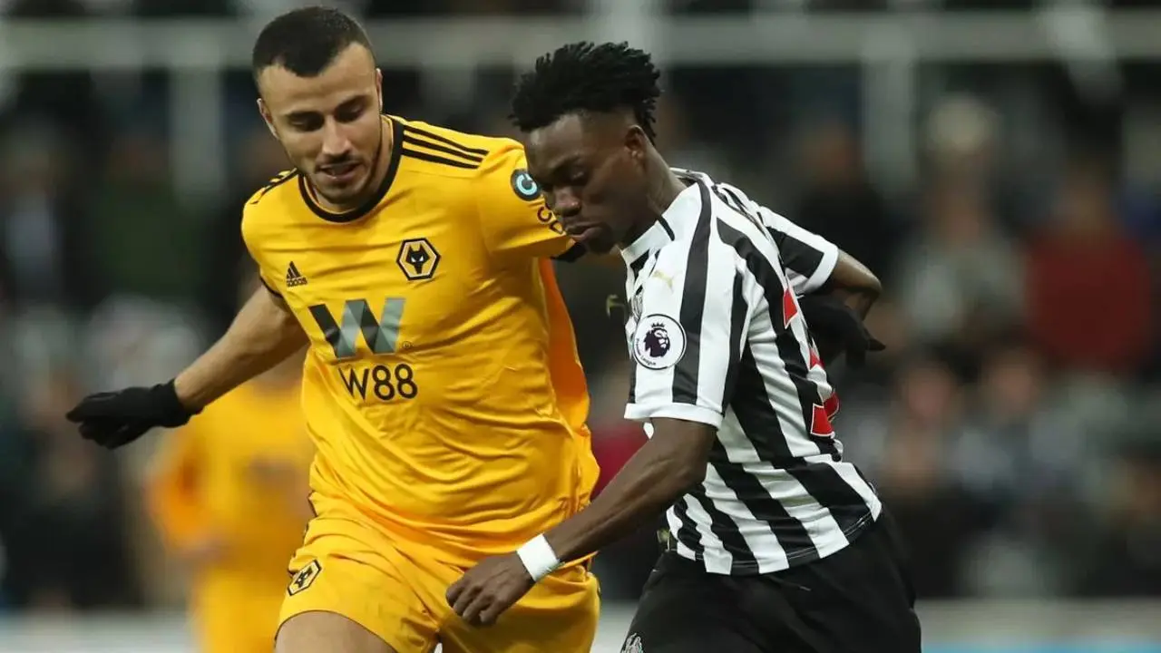 Prediksi Wolverhampton Vs Newcastle Duel Sengit Perebutan Poin Penting Di Liga Inggris
