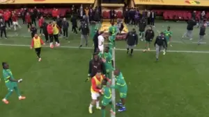Tragedi Keamanan Final Piala Afrika 2025: Kerusuhan di Bench Pemain hingga Adu Fisik di Press Box