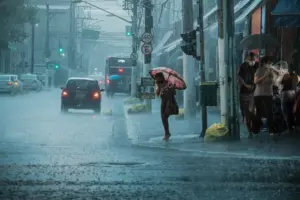 BMKG Keluarkan Peringatan Siaga Hujan dan Angin Kencang 24–26 Januari, Cek Daftar Wilayahnya
