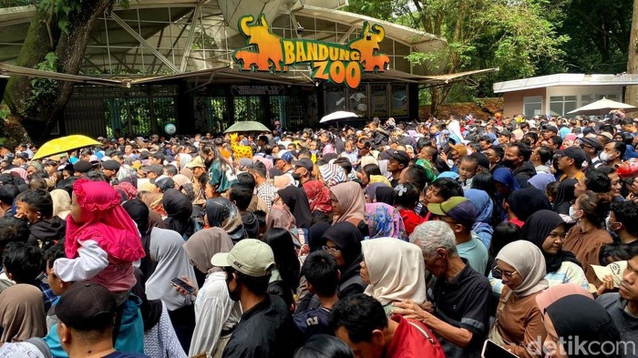 Foto: Kepadatan Di Pintu Masuk Bandung Zoo. (wisma Putra/detikjabar)