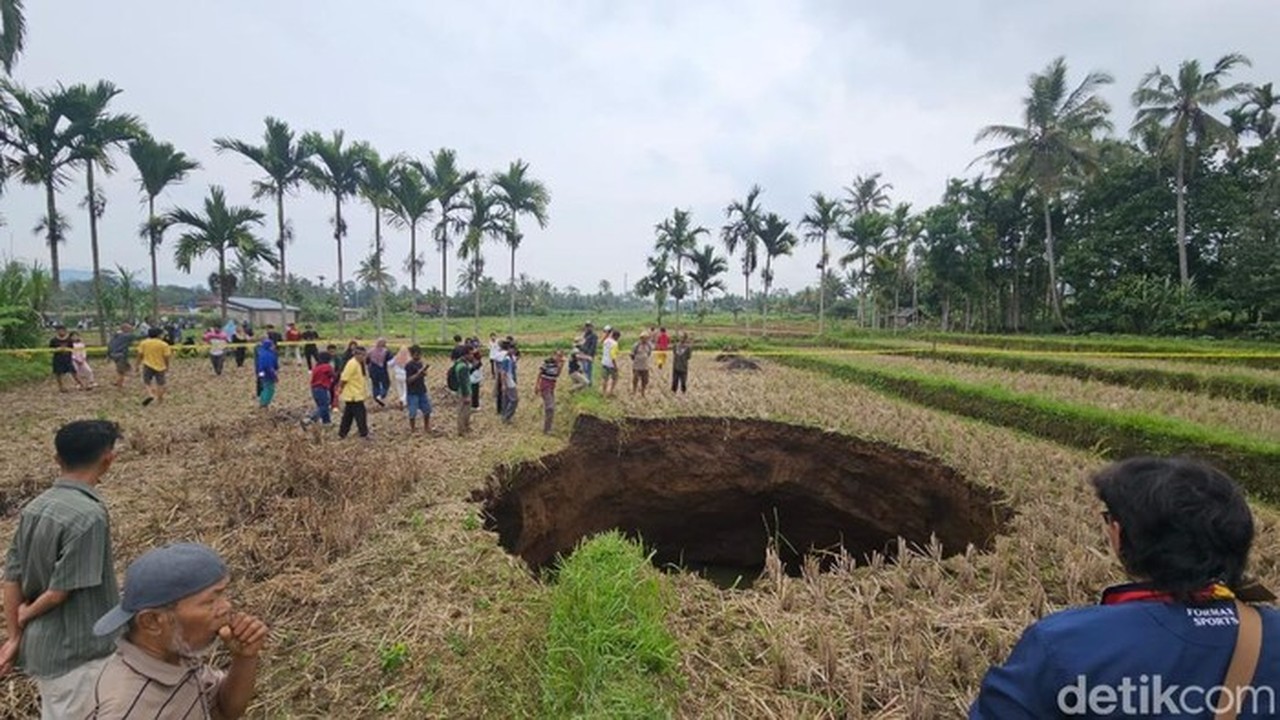 Foto: Sebuah Lubang Raksasa Muncul Di Tengah Lahan Persawahan Milik Warga Dii Nagari Situjuah Batua, Kabupaten 50 Kota, Sumbar. (jeka Kampai/detiksumut)