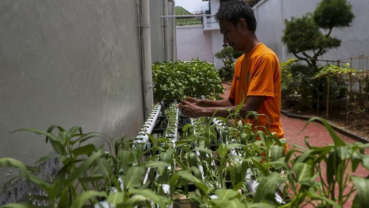 Foto: Warga Binaan Memberikan Pakan Ikan Nila Pada Kolam Bioflok Di Rumah Tahanan Negara (rutan) Kelas Iib Serang, Kota Serang, Banten, Senin (24/2/2025). (antara Foto/angga Budhiyanto)
