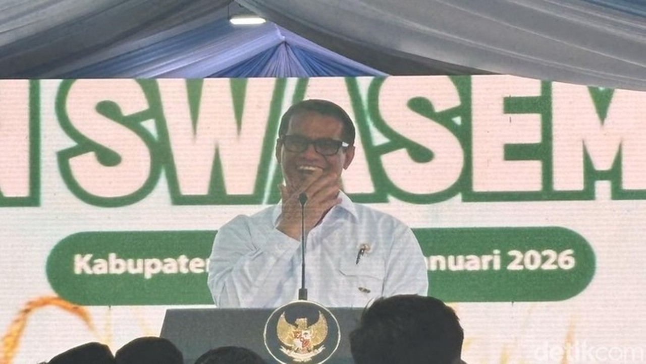 Mentan Amran Sulaiman (firda/detikcom)