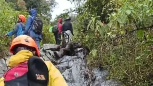 Relawan Ungkap Kejanggalan Operasi SAR Kasus Pendaki Syafiq di Gunung Slamet