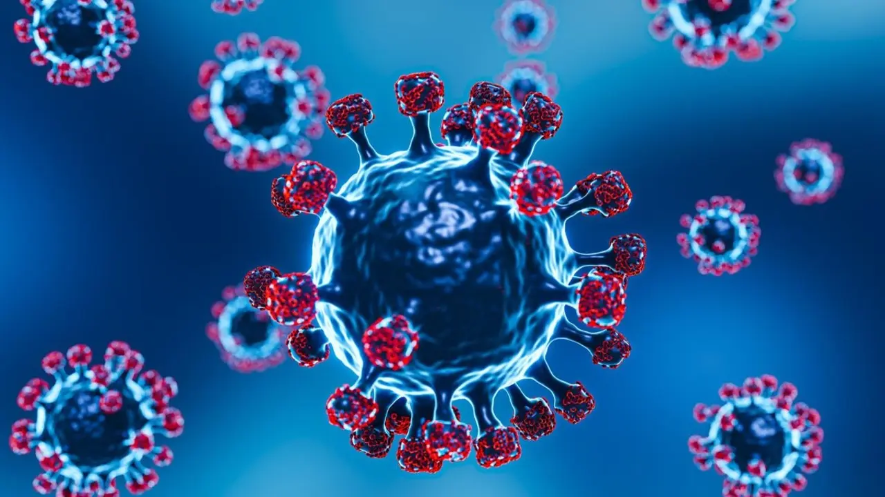 Virus Nipah