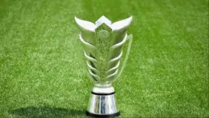 AFC Umumkan Kandidat Tuan Rumah Piala Asia 2031, Indonesia Masuk Daftar