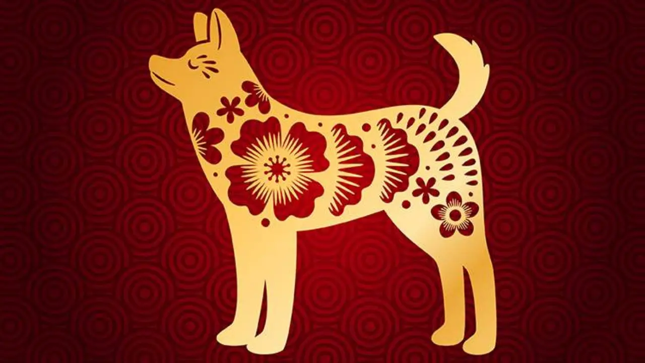 Ramalan Shio Anjing Di Tahun Kuda Api 2026 Mulai Dari Karier Keuangan Hingga Asmara