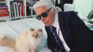 Warisan Lagerfeld Rp 3,9 T Terancam Batal, Choupette Si Kucing Chanel Tetap Nikmati Fasilitas Mewah