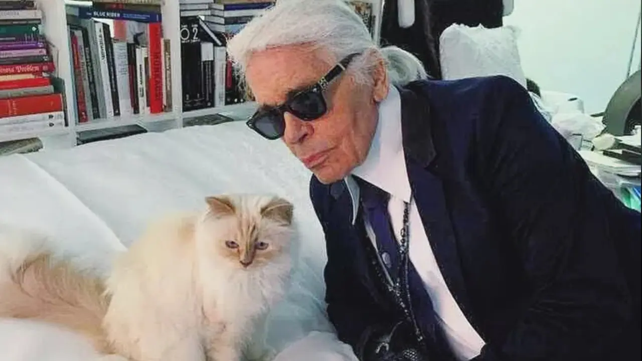 Warisan Lagerfeld Rp 3,9 T Terancam Batal, Choupette Si Kucing Chanel Tetap Nikmati Fasilitas Mewah
