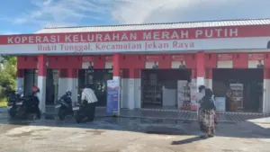 Hasil Seleksi Kopdes Merah Putih 2026 Sudah Diumumkan, Cek Nama Anda di Link Ini