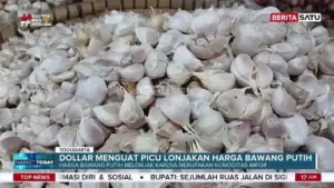 Nilai Tukar Dollar dan BBM Dorong Kenaikan Harga Bawang Putih di Beringharjo