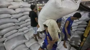 Mentan Pastikan Stok Beras 5,2 Juta Ton, Penyaluran CBP Capai 946,8 Ribu Ton