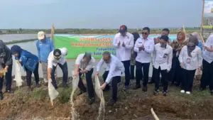 PGN dan BRIN Luncurkan Minapadi Salin di Batang, Bupati: Buka Peluang Ekonomi Pesisir