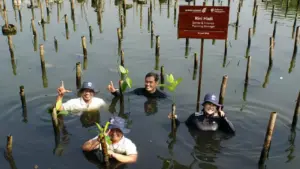 DSLNG Soroti Perlunya Lindungi Pesisir, Tanam 175 Mangrove di Angke Kapuk